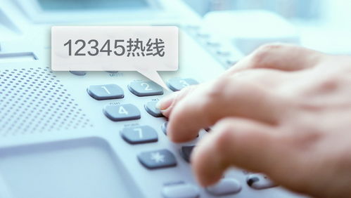 如何做好 两张网 的总客服 上海 12345 热线有这些打算